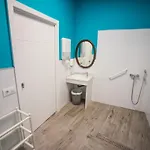 Vandrerhjem La Flamenka *