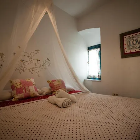 La Flamenka بيت شباب *